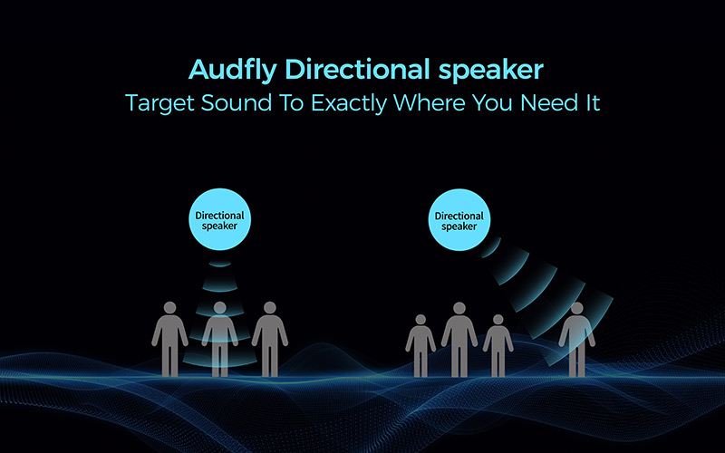 定向發(fā)聲示意圖