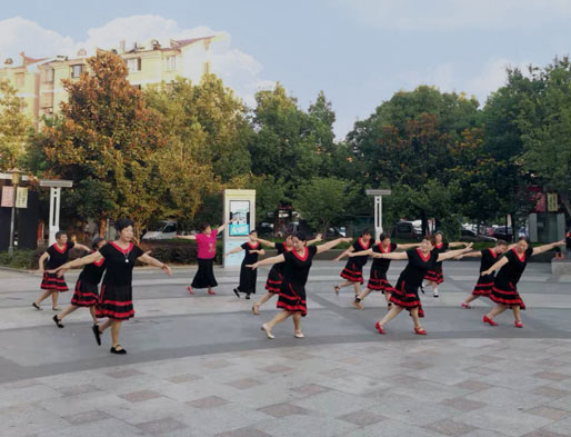 智能廣場舞系統(tǒng)